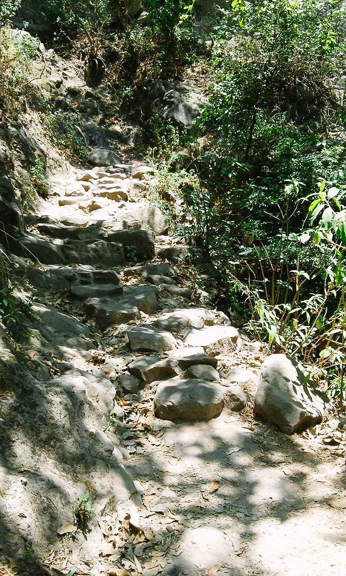 周遊道